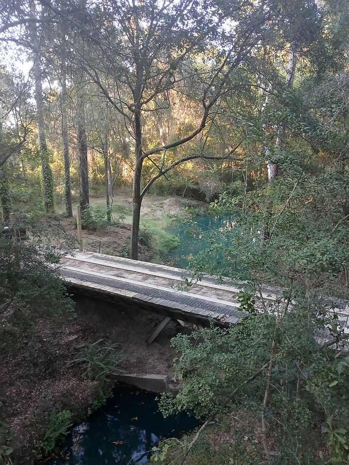 Tranquil Creekside Container with Private Waterfall Near Renaissance Festival | Magnolia, Texas