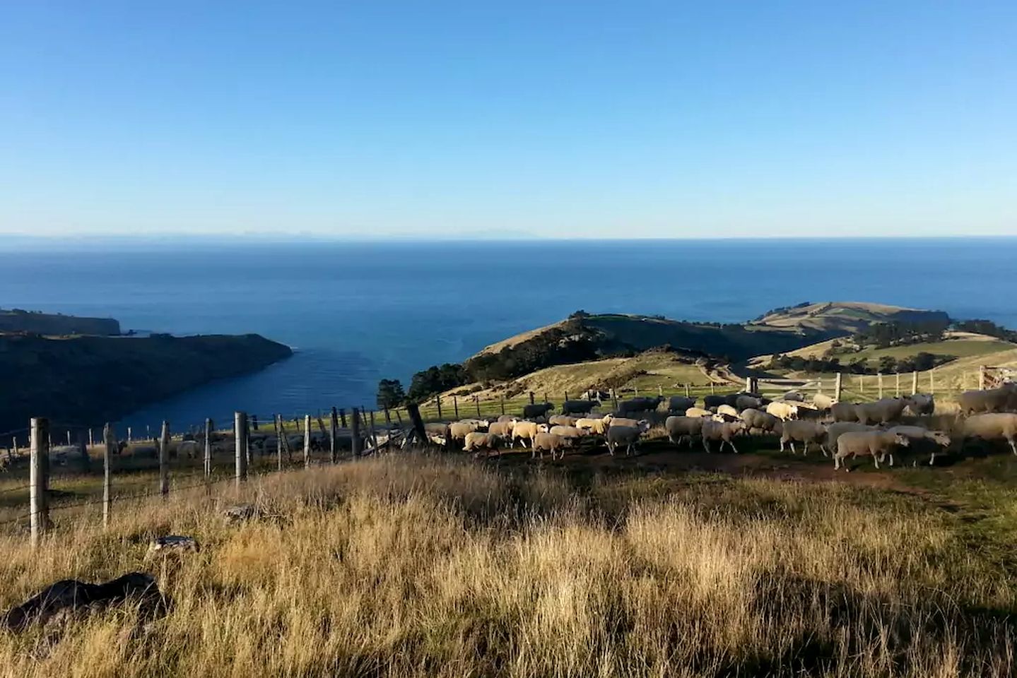 Charming Cabin Getaway near Little Akaloa Beach on the Banks Peninsula, South Island