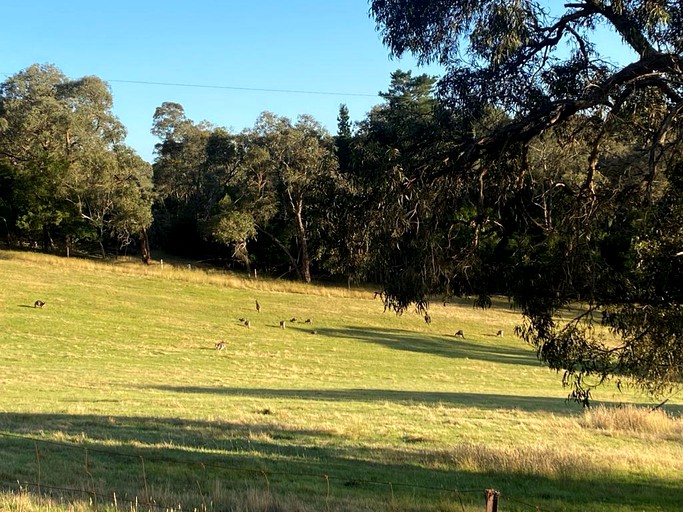 Tiny Houses (Australia, Hurstbridge, Victoria)