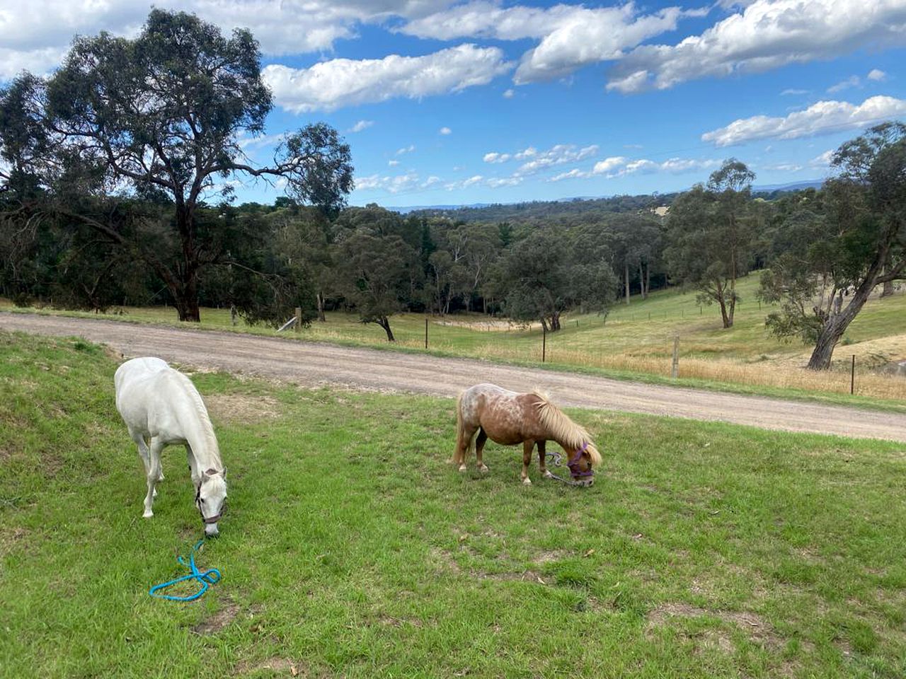 Secluded Tiny House with Spectacular Countryside Views in Hurstbridge, Victoria