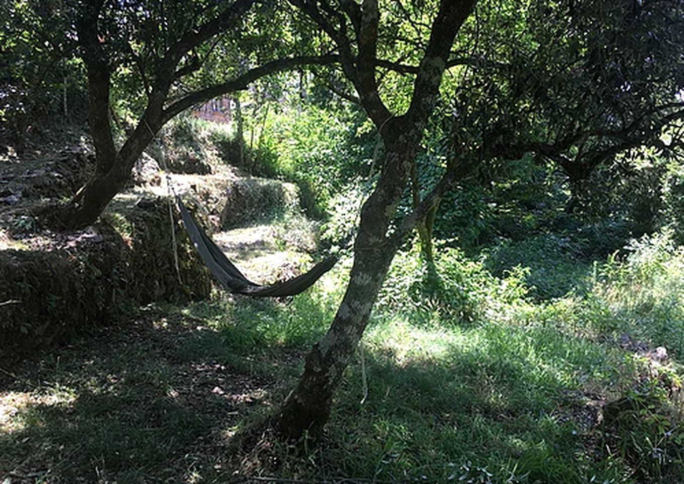 Peaceful Bell Tent Ideal for a Romantic Getaway near Serra da Estrela, Portugal