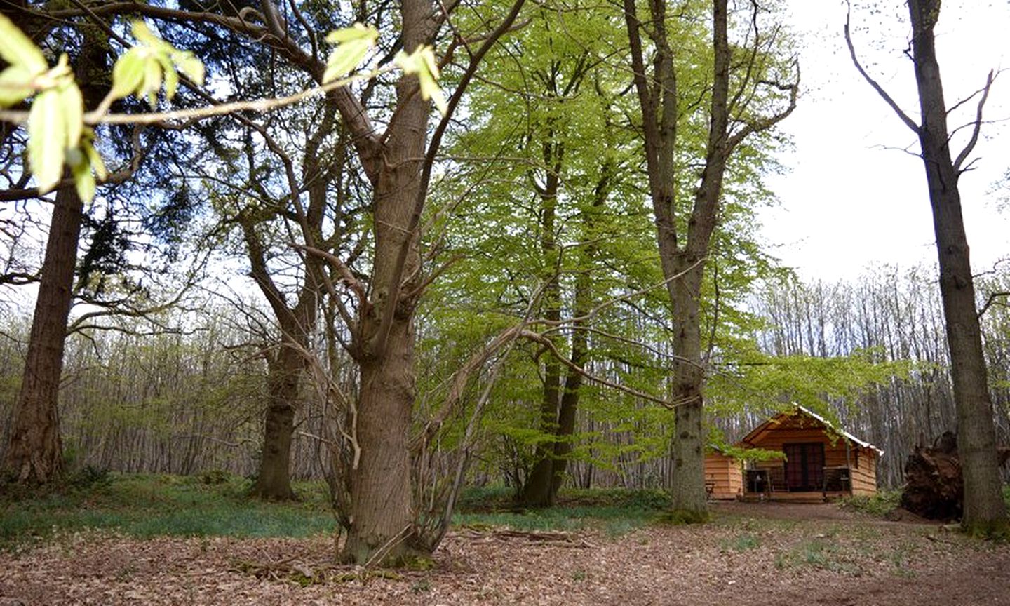 Rustic Camping Cabin for Families in South Downs National Park, East Hampshire