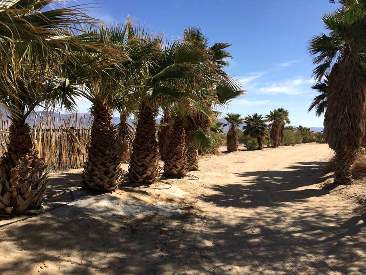 Rustic Cabin Rental near Joshua Tree National Park in Twentynine Palms, California