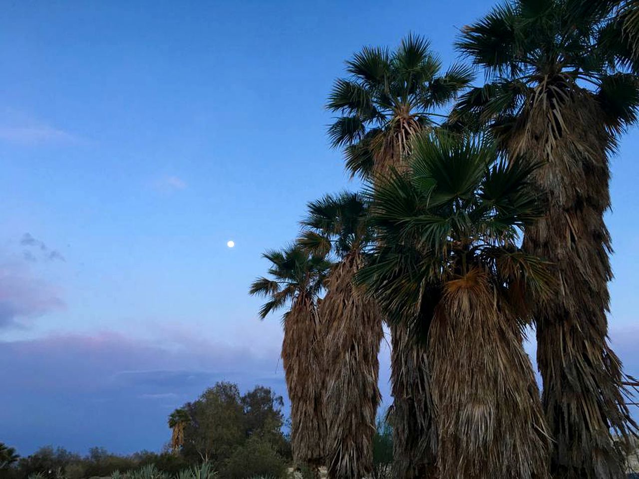 Rustic Cabin Rental near Joshua Tree National Park in Twentynine Palms, California