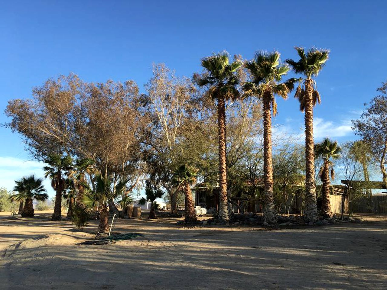 Rustic Cabin Rental near Joshua Tree National Park in Twentynine Palms, California