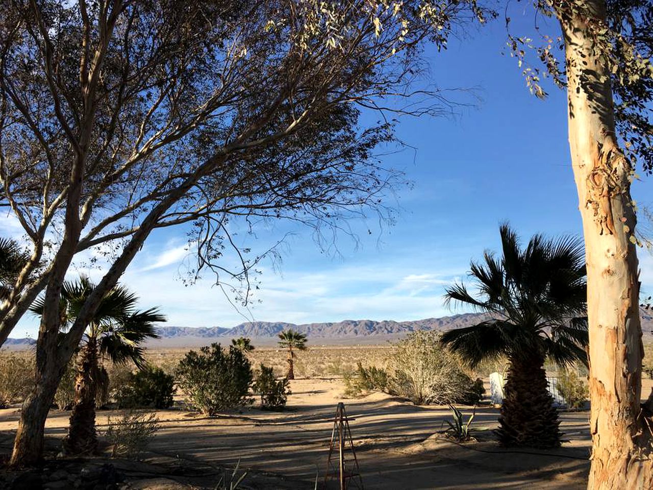 Rustic Cabin Rental near Joshua Tree National Park in Twentynine Palms, California