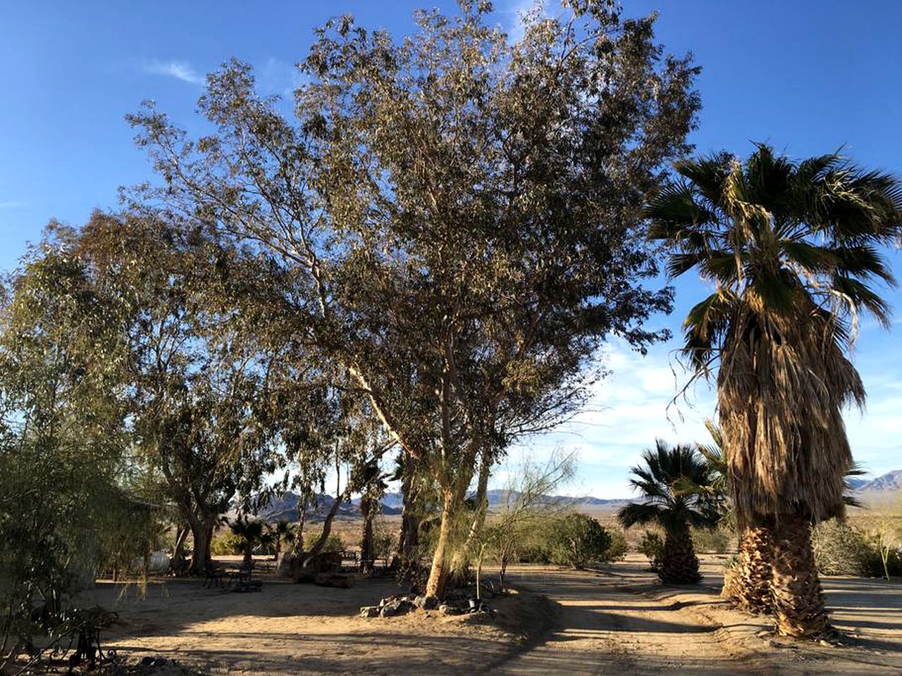 Rustic Cabin Rental near Joshua Tree National Park in Twentynine Palms, California