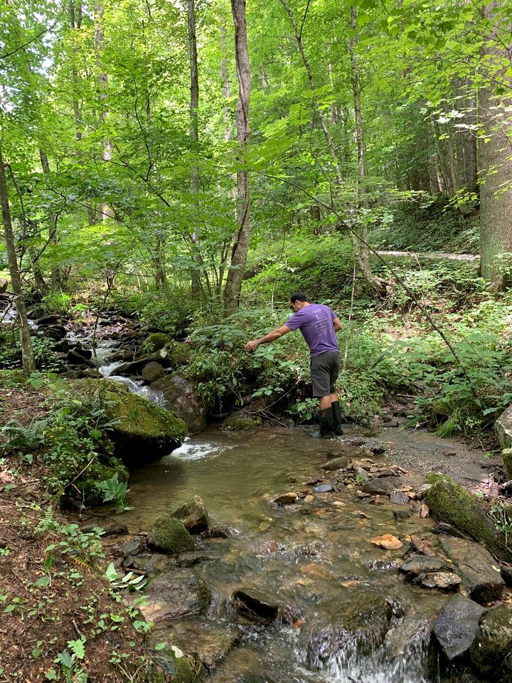 Off Grid Tiny Cabin Ideal for Couples in Burnsville, North Carolina