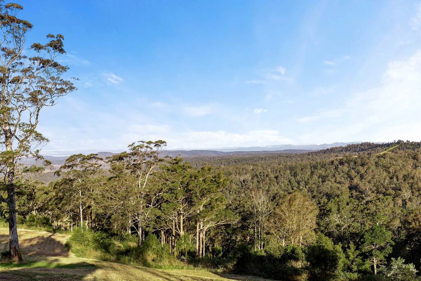 Cool Elevated Cabin in Queensland, with Private Hot Tub, for Perfect Vacations in Australia