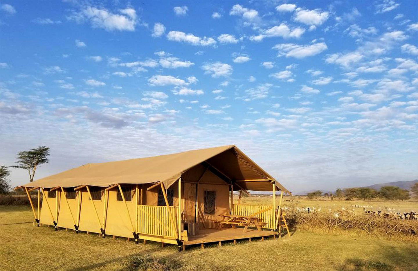 Luxury Safari Tent Rental Situated near Arusha, Tanzania