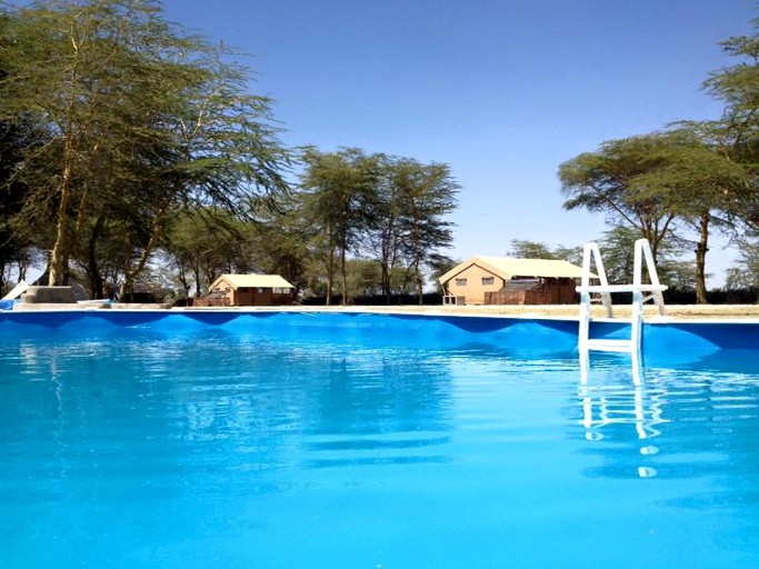 Safari Tents (Arusha, Arusha Region, Tanzania)