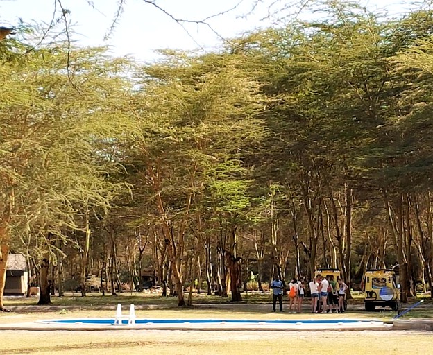 Safari Tents (Arusha, Arusha Region, Tanzania)