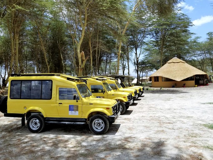 Safari Tents (Arusha, Arusha Region, Tanzania)