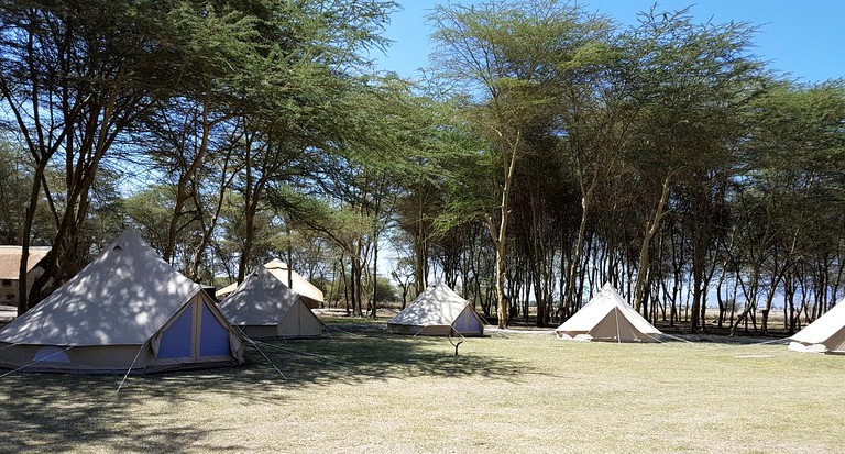 Safari Tents (Arusha, Arusha Region, Tanzania)