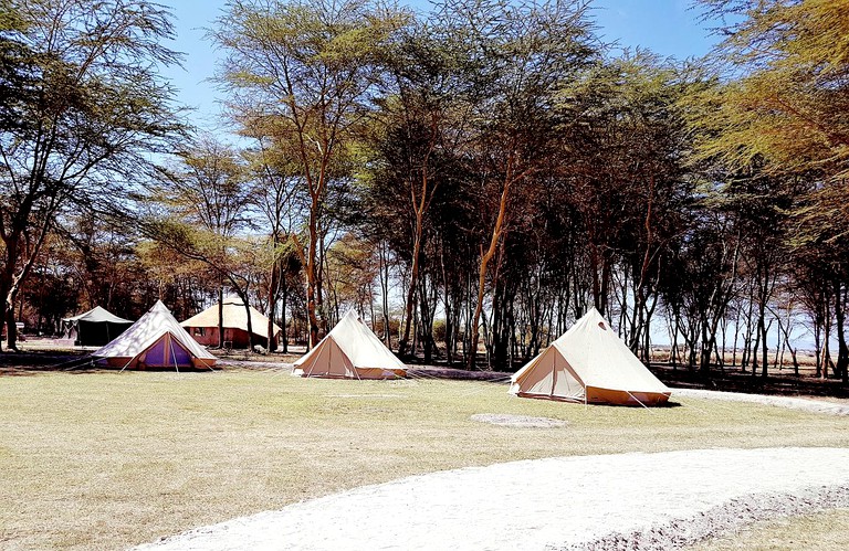 Safari Tents (Arusha, Arusha Region, Tanzania)