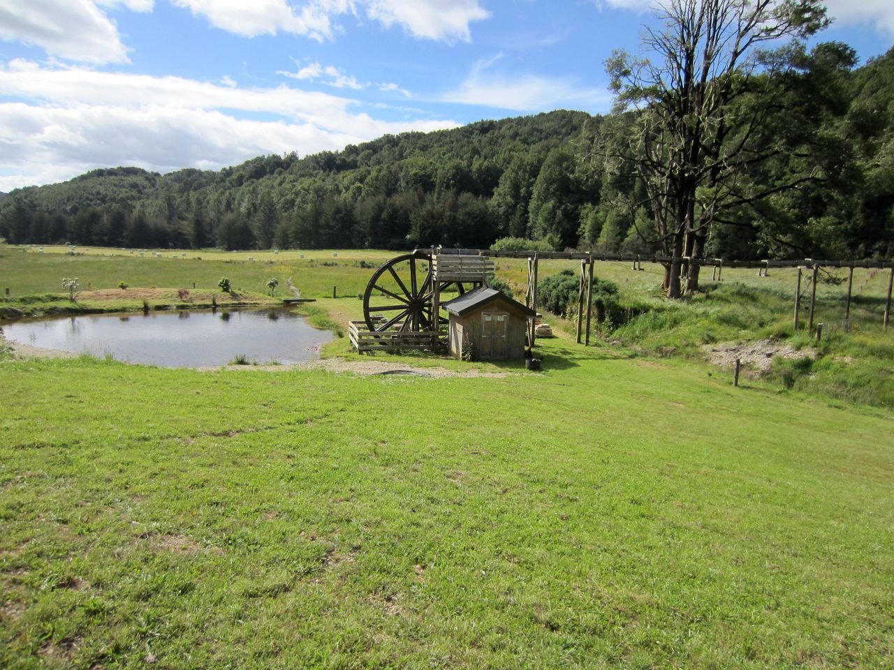 Eco-Friendly Room Rental on Private Farm near Reefton, New Zealand