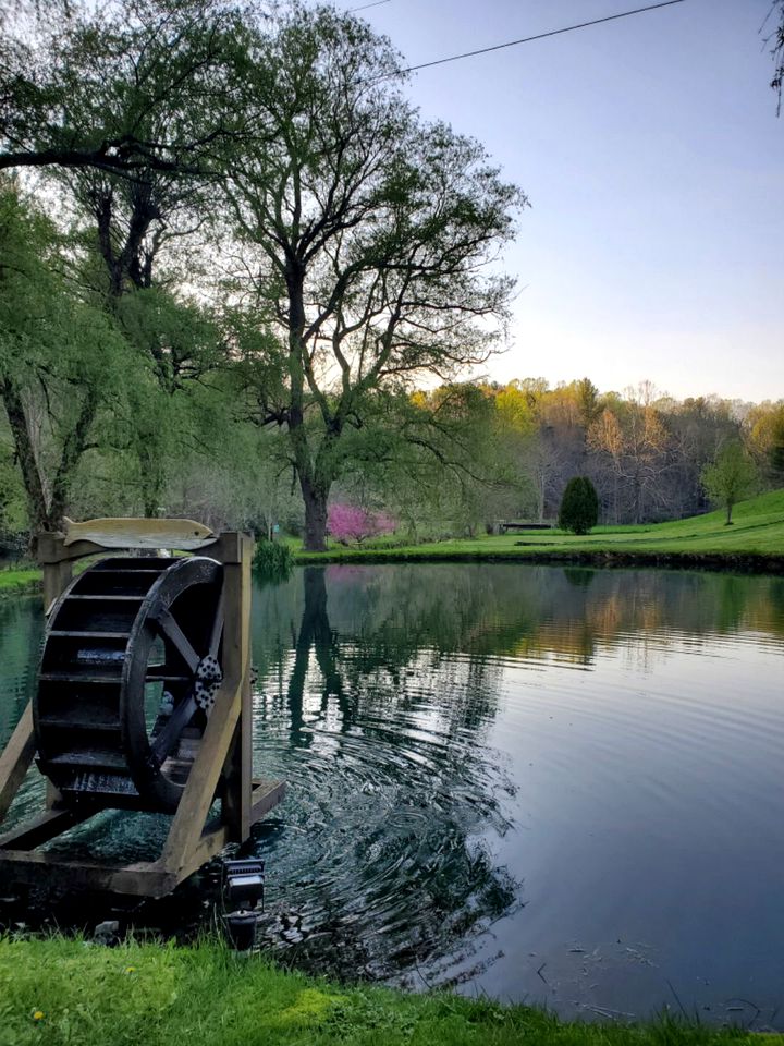 Breathtaking Airstream with Hot-tub and Petting Zoo in Sugar Grove, North Carolina