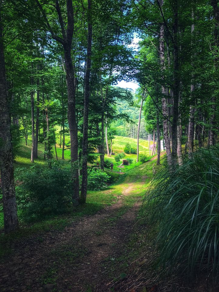 Breathtaking Airstream with Hot-tub and Petting Zoo in Sugar Grove, North Carolina