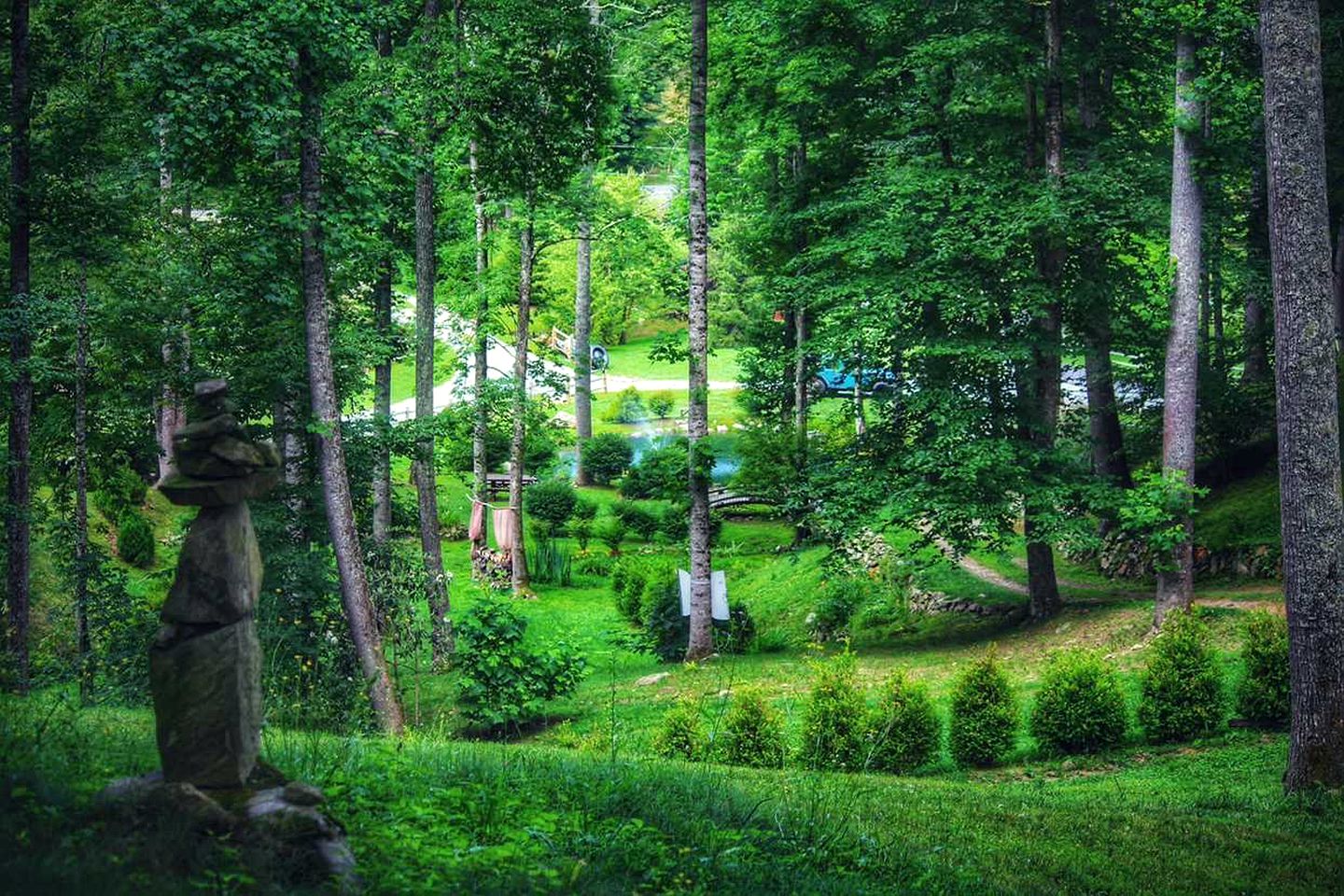 Breathtaking Airstream with Hot-tub and Petting Zoo in Sugar Grove, North Carolina