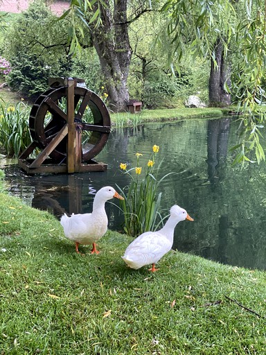 Airstreams (United States of America, Sugar Grove, North Carolina)