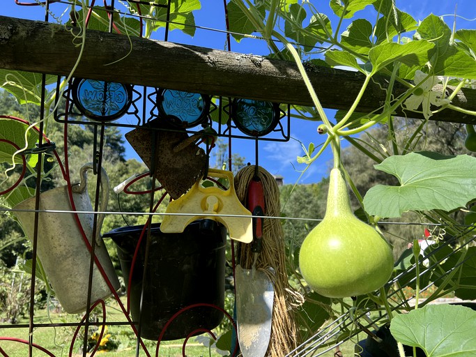 Airstreams (United States of America, Sugar Grove, North Carolina)
