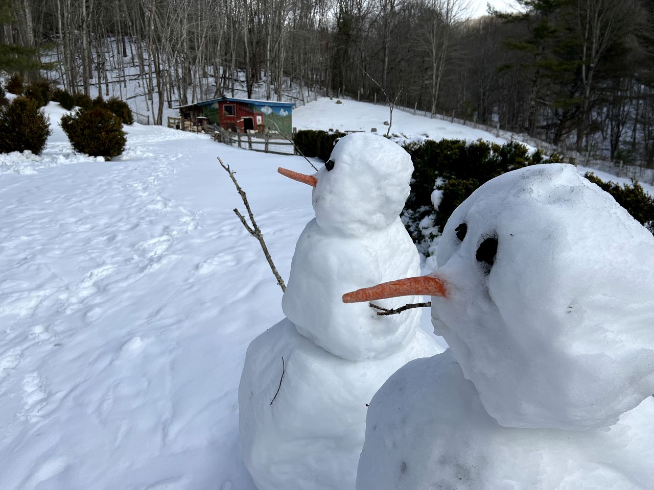 Breathtaking Airstream with Hot-tub and Petting Zoo in Sugar Grove, North Carolina