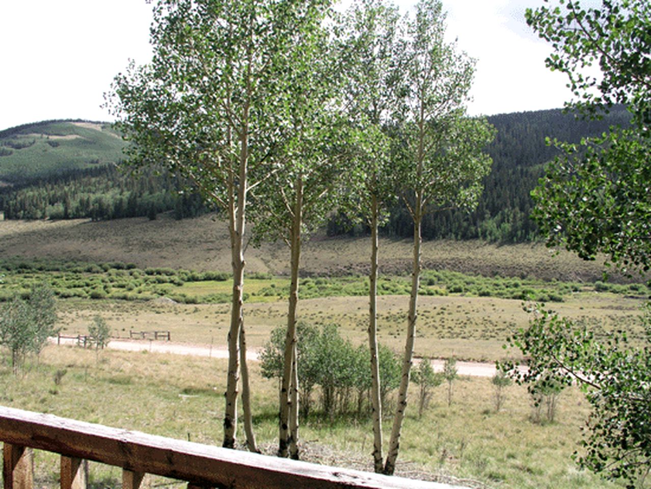 Oleo Ranch 2/Br 1/Ba Cabins