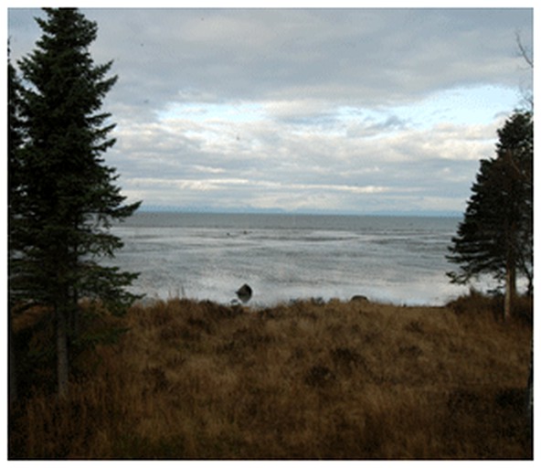 Cabins (Kasilof, Alaska, United States)