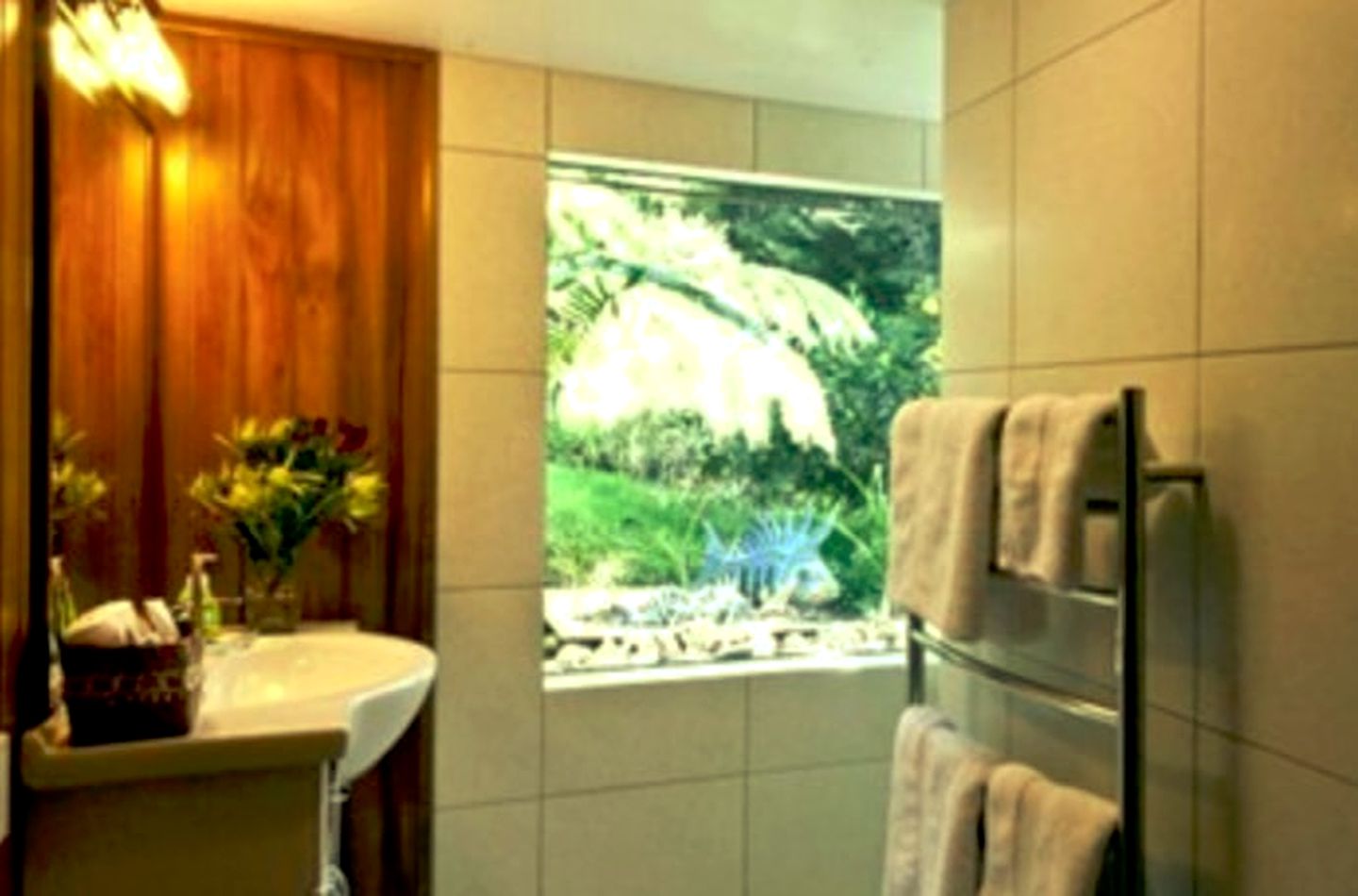 Cozy and Historic Holiday Cottage near Mercury Bay, South Island