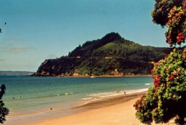 Cottages (Kuaotunu, North Island, New Zealand)
