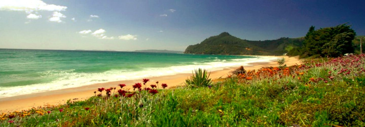 Cozy and Historic Holiday Cottage near Mercury Bay, South Island