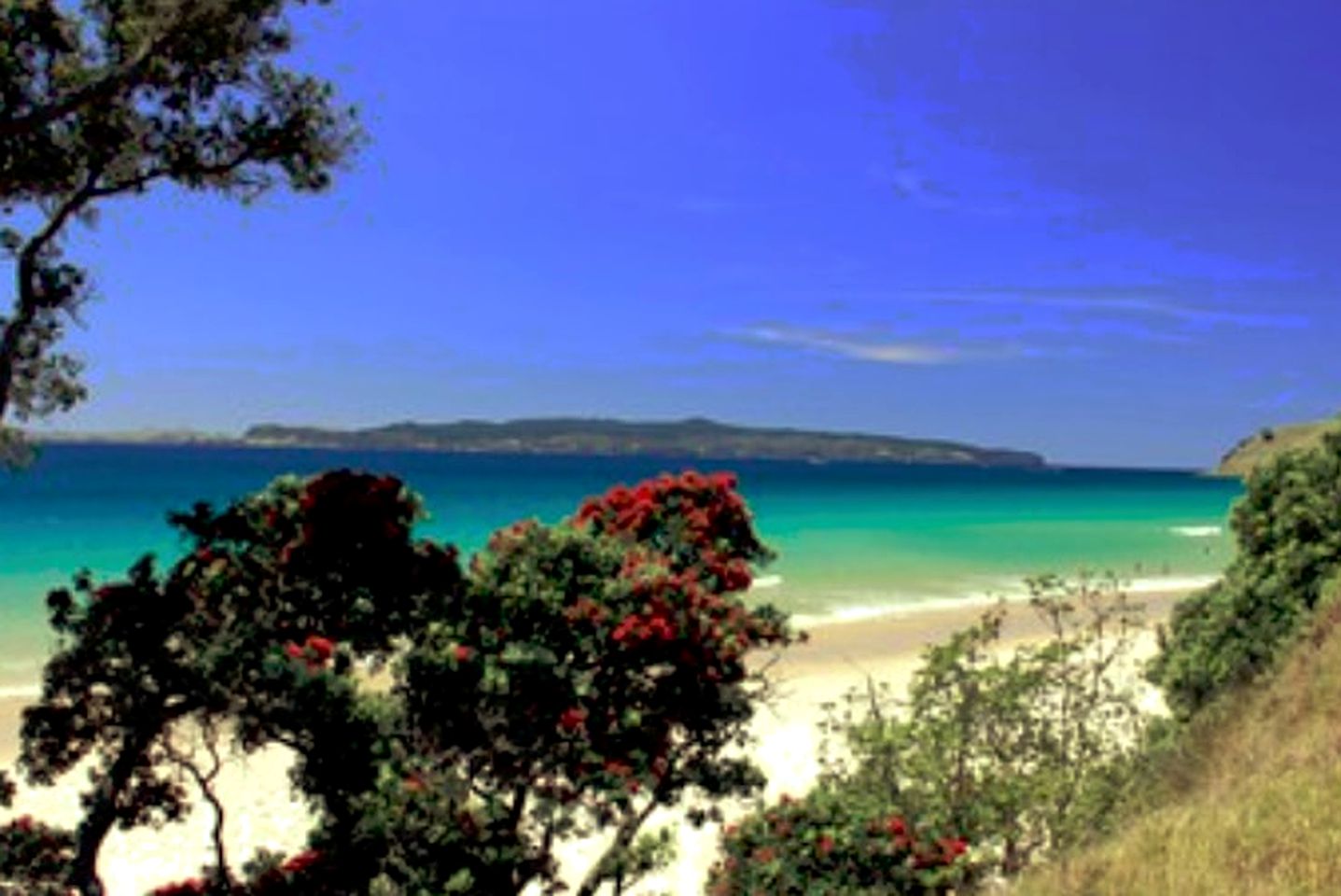 Cozy and Historic Holiday Cottage near Mercury Bay, South Island