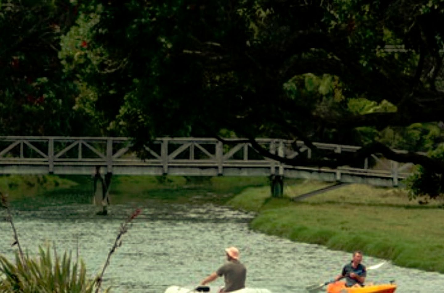 Superb Holiday Lodge with Observatory in Kuaotunu, South Island