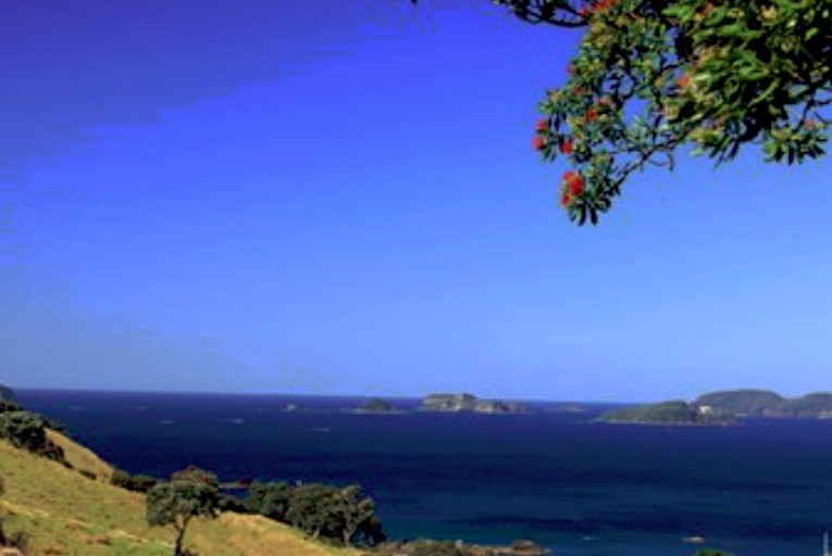 Nature Lodges (Kuaotunu, North Island, New Zealand)