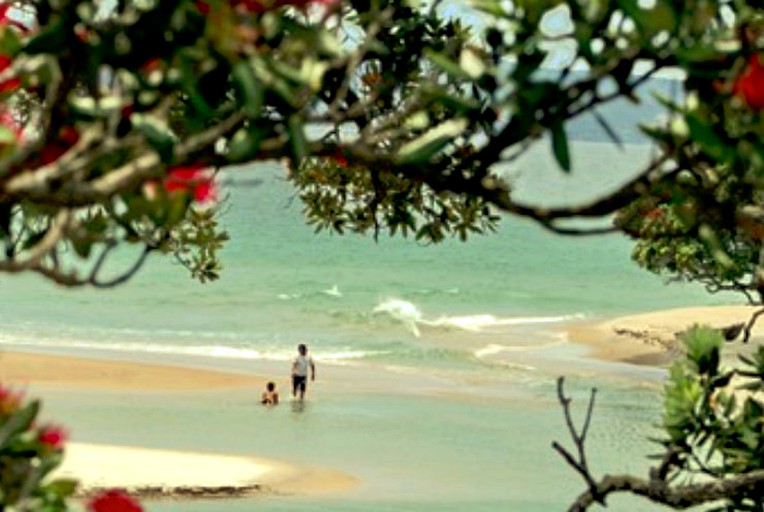 Nature Lodges (Kuaotunu, North Island, New Zealand)