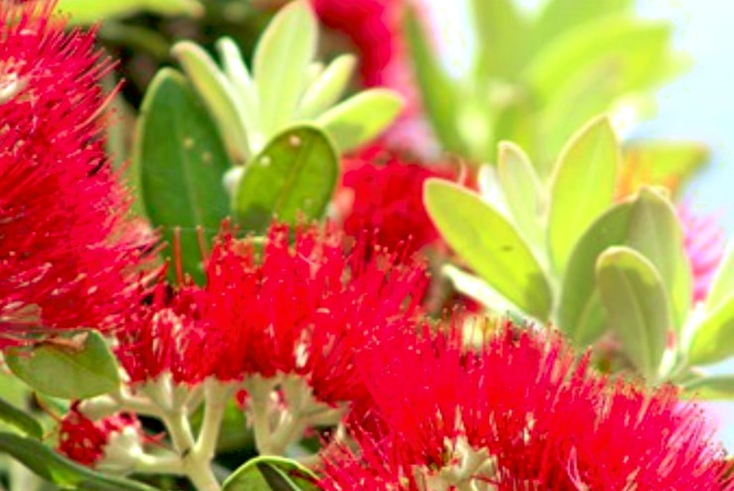 Superb Holiday Lodge with Observatory in Kuaotunu, South Island