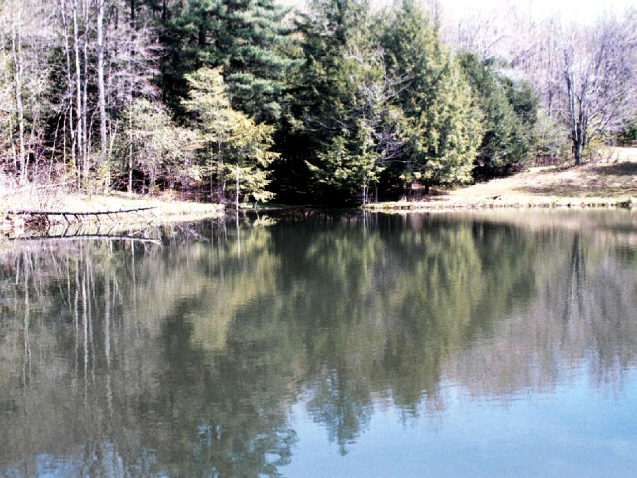 Private Cottage Surrounded by Mountains near Allegany State Park, New York