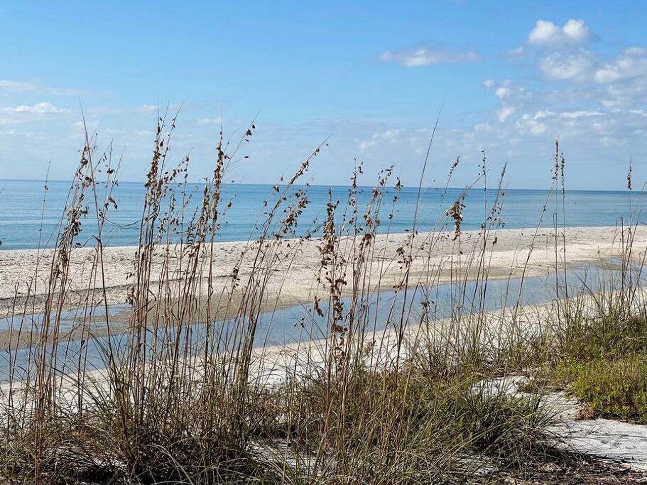Peaceful Cottage with Incredible Water Views on Little Gasparilla Island for a Quiet Escape by the Beach in Florida
