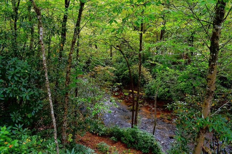 Tiny Houses (Robbinsville, North Carolina, United States)