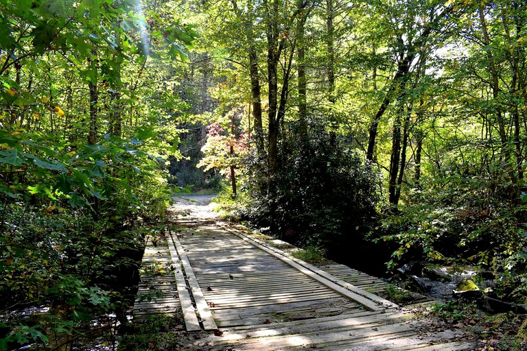 Tiny Houses (Robbinsville, North Carolina, United States)