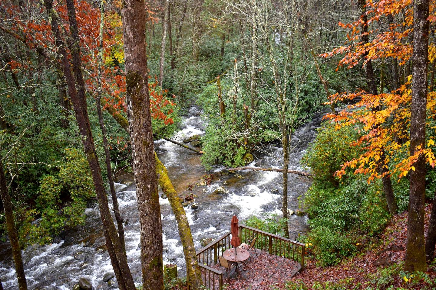 Secluded Tiny House Rental on Trout Stream in Nantahala National Forest, North Carolina