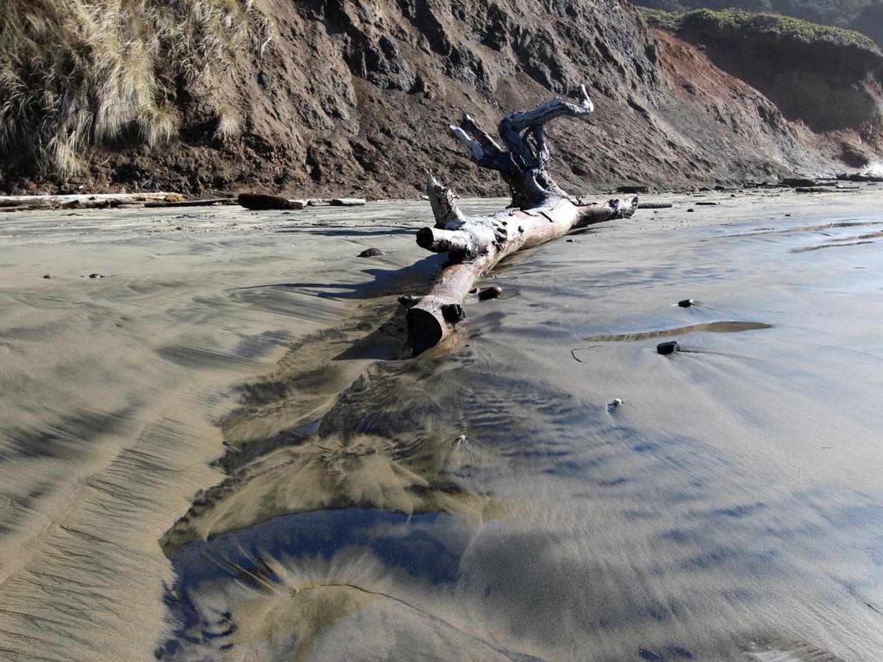 Oceanfront Rental in South Beach, Oregon Glamping Hub