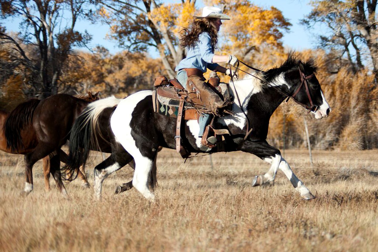 All-Inclusive Ranch with Picturesque Scenery in Colorado