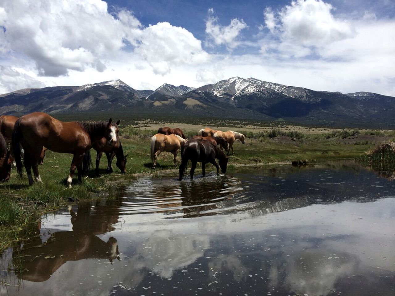 All-Inclusive Ranch with Picturesque Scenery in Colorado