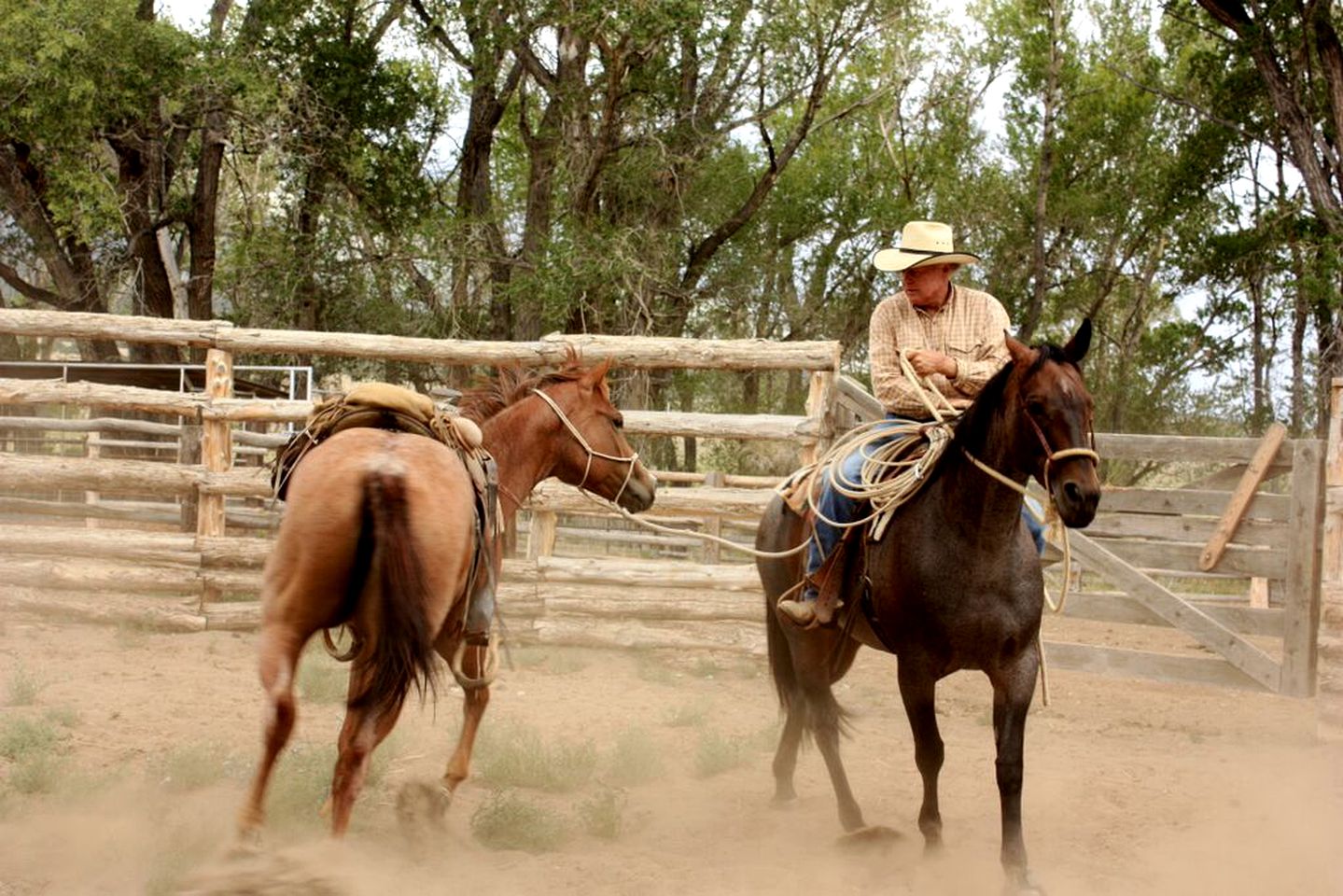 All-Inclusive Ranch with Picturesque Scenery in Colorado