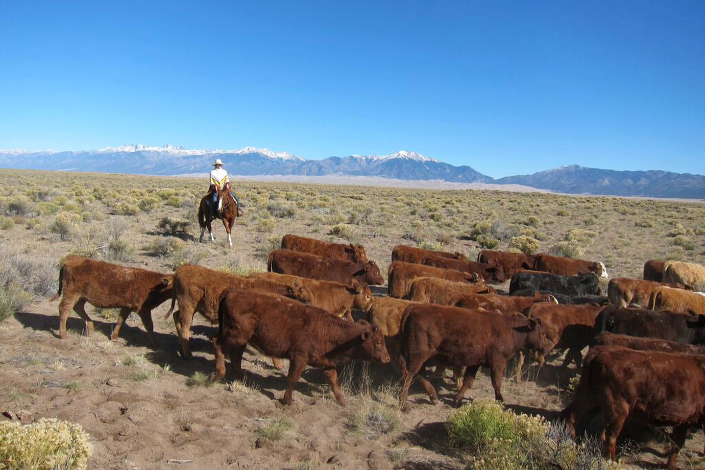 All-Inclusive Ranch with Picturesque Scenery in Colorado