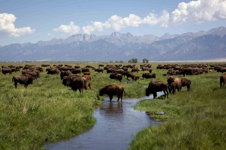 Nature Lodges (Mosca, Colorado, United States)