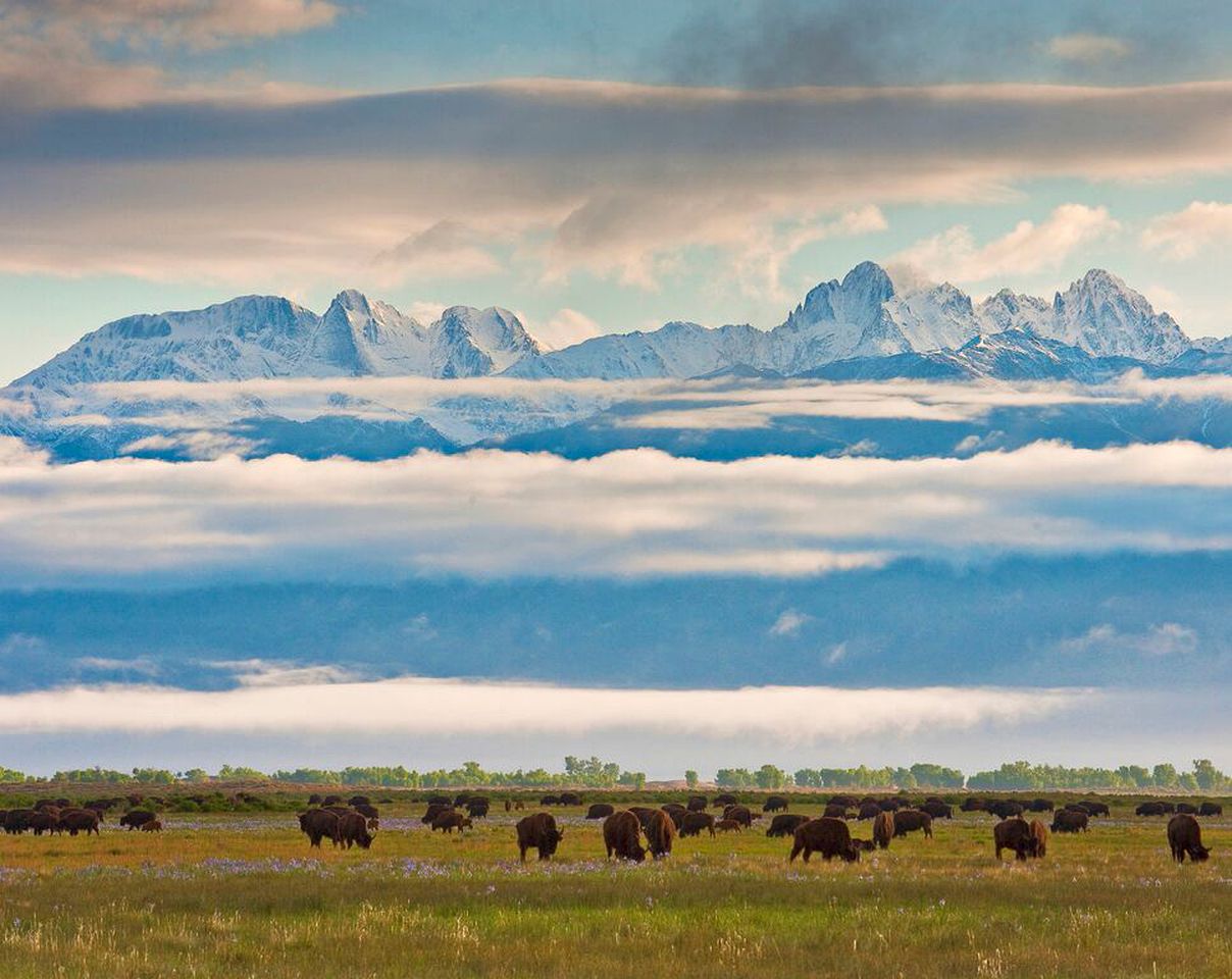 All-Inclusive Ranch with Picturesque Scenery in Colorado