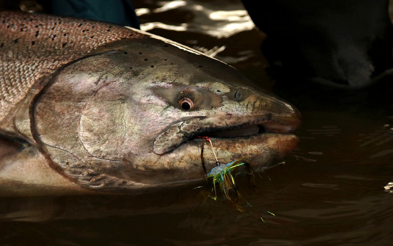 Cabins (Anchorage, Alaska, United States)