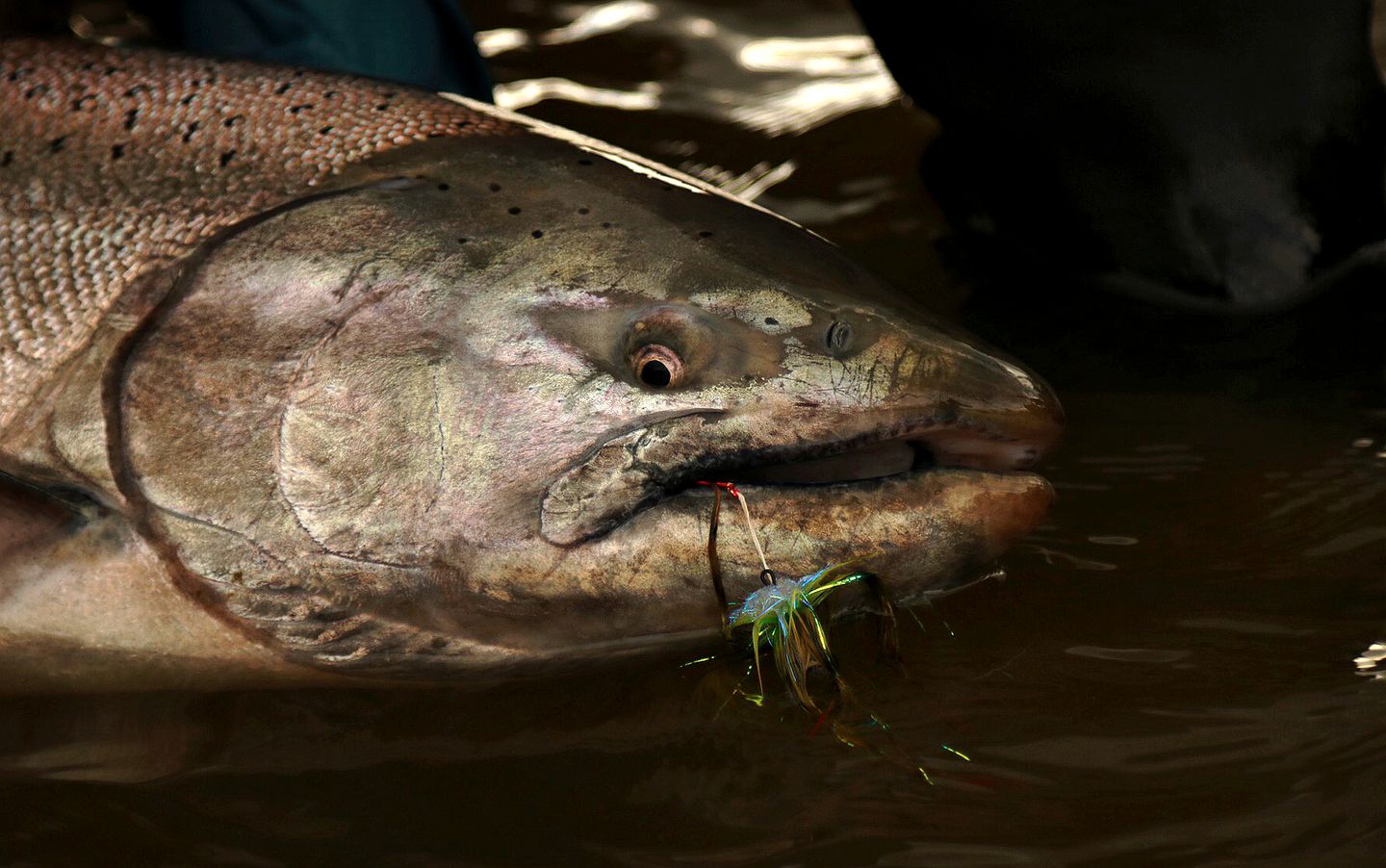 All-Inclusive Stay on a Fishing Lodge on the Yentna River in Anchorage, Alaska